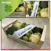 Sorteo de un lote de verdura fresca
