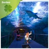 Visitas gratis al  Aquarium de San Sebastián, con sus más de 31 acuarios dedicados al mar Cantábrico- Atlántico y acuarios de temática tropical, con diario de navarra