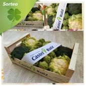 Sorteo 2 lotes de verdura fresca