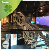 Visitas gratis al  Aquarium de San Sebastián, con sus más de 31 acuarios dedicados al mar Cantábrico- Atlántico y acuarios de temática tropical, con diario de navarra