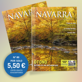 Revista Conocer Navarra - Nº80 Otoño. Historia de una metamorfosis