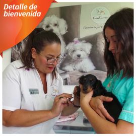 Veterinaria Gous Gorraiz - Detalle de bienvenida para tu mascota
