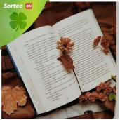 Sorteo de lote de libros de otoño