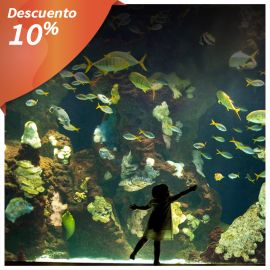 Aquarium de San Sebastian