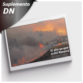 Suplemento especial resumen del año 2022