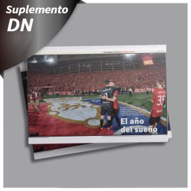 Suplemento especial ”Resumen del año 2023”